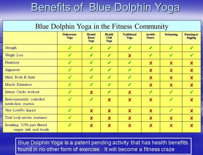 dolphin yoga